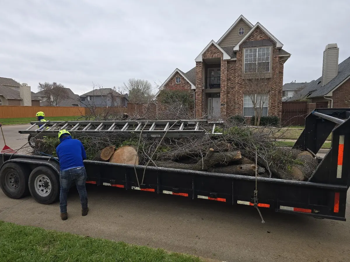 Expert Lot Clearing with proper safety equipment in Duck Creek Village